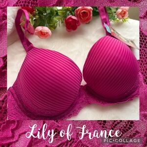 NWT LILY OF FRANCE-34C Magenta Pink Lace Push Up Bra